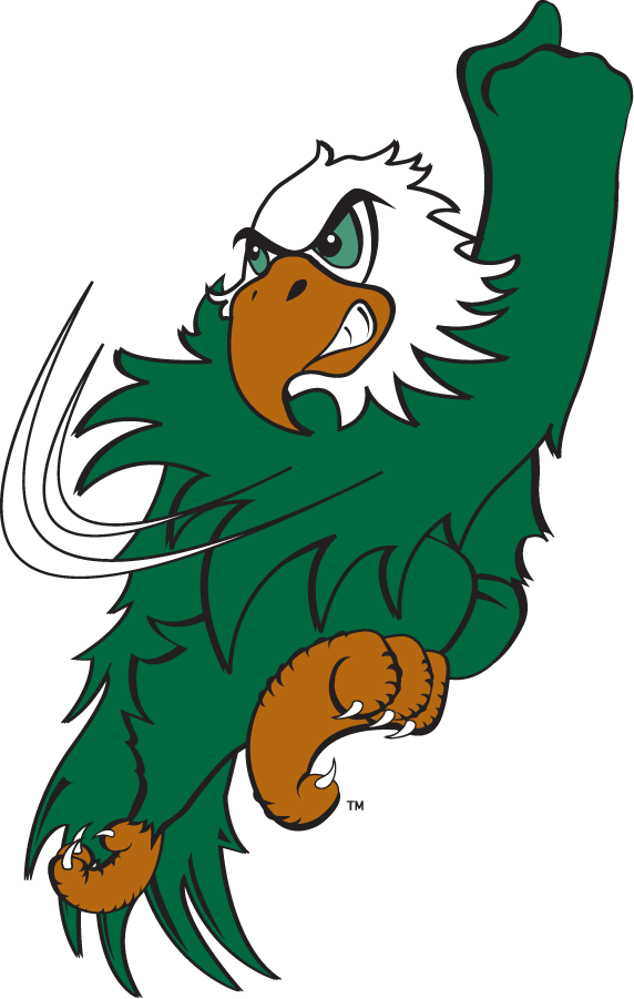 North Texas Mean Green 2003-2005 Mascot Logo v3 DIY iron on transfer (heat transfer)